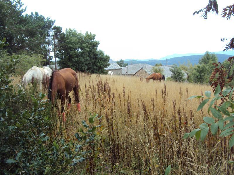 Casa De Lucas Βίλα Fonfría Εξωτερικό φωτογραφία