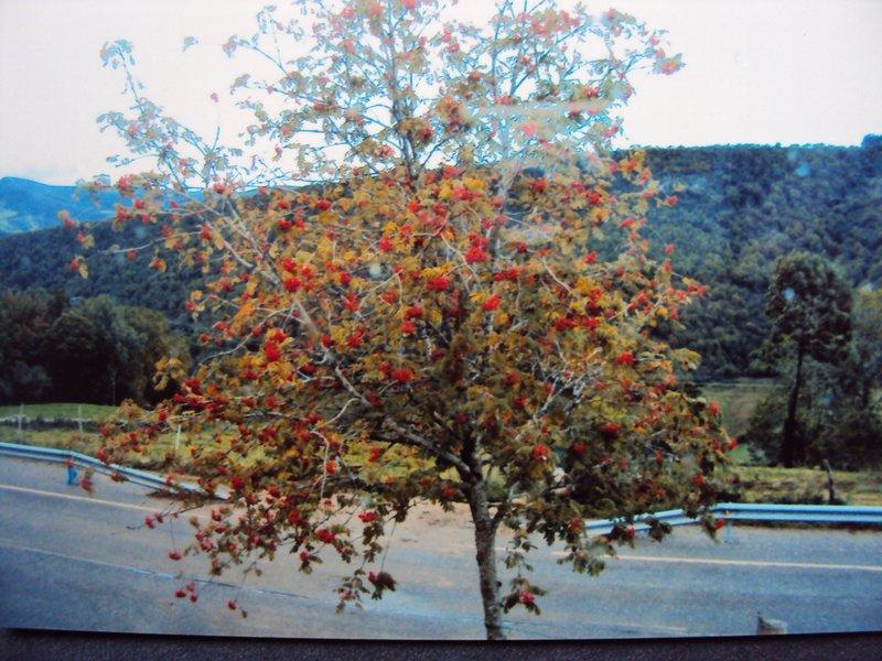 Casa De Lucas Βίλα Fonfría Εξωτερικό φωτογραφία